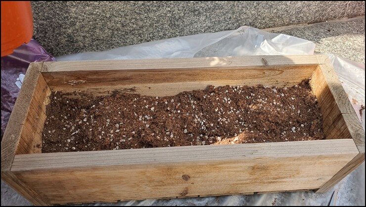 작년에-만든-화분