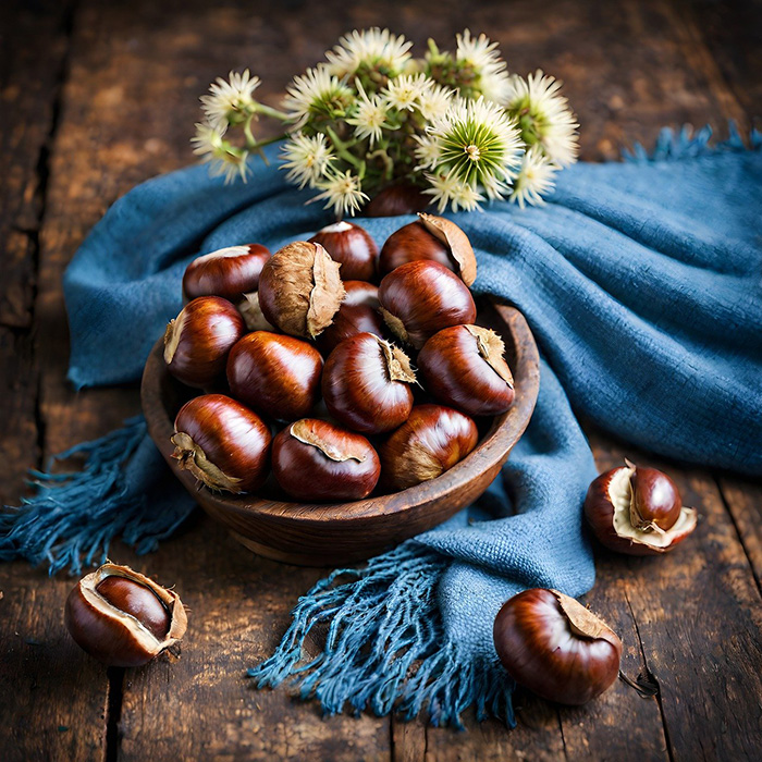 강아지-밤-먹어도-되나요