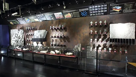 우석헌 자연사 박물관