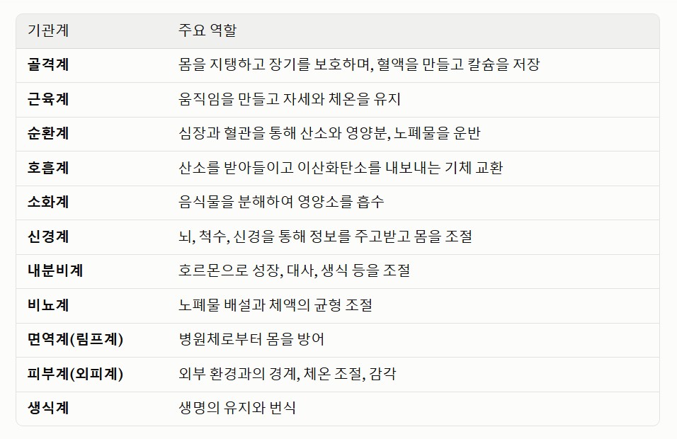 인체의 기관계 분류