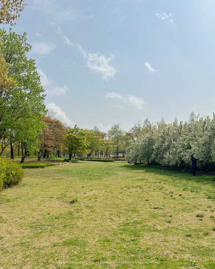 일산호수공원 잔디공원