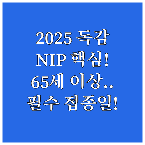 2025 인플루엔자 NIP 만 65세..