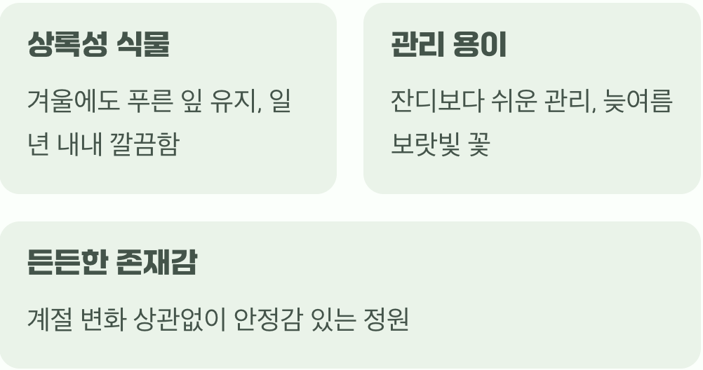 사계절 푸른 파트너&amp;#44; 맥문동