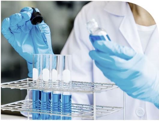 칼마디-효능-효과