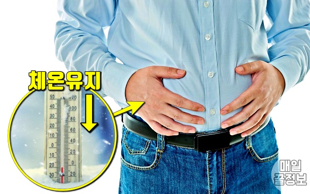 집에서 패딩 입고 비만,추위 많이 타는 사람