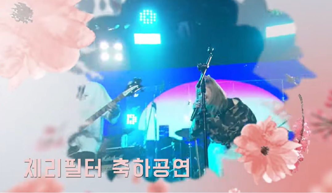 세종 복숭아 축제