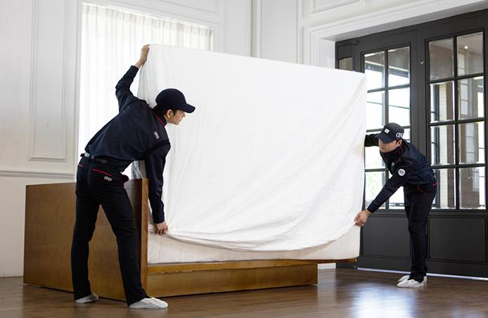 여름철 해충 발생 원인 및 박멸 방법