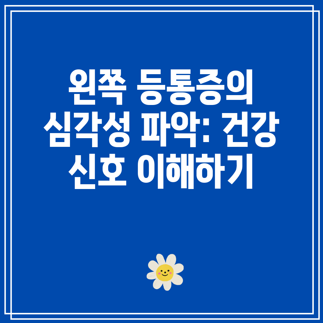 왼쪽 등통증의 심각성 파악 건강 신호 이해하기
