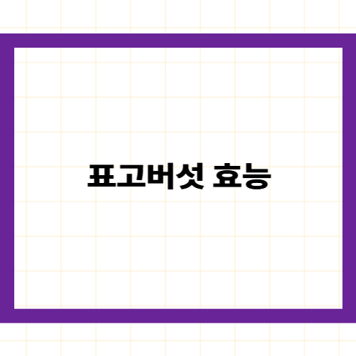 표고버섯 효능 —
혈관을 청소하는 천연 보약과 건표고의 놀라운 반전