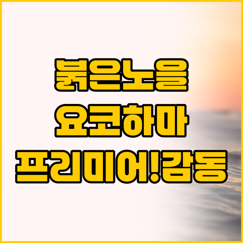 붉은 노을부터 프리미어 숙박까지, 요..