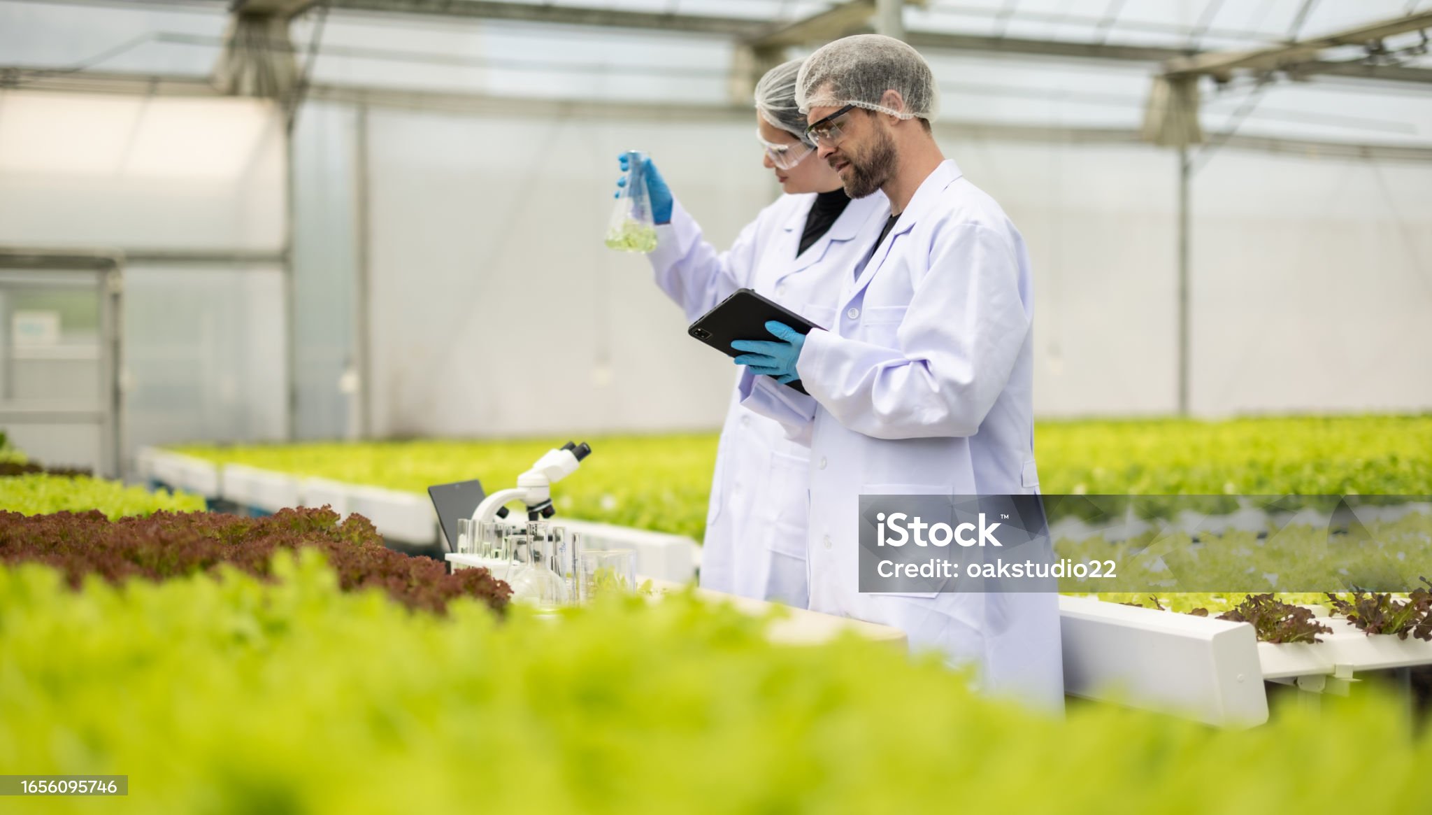 농장에서 환경영향을 분석하는 사진