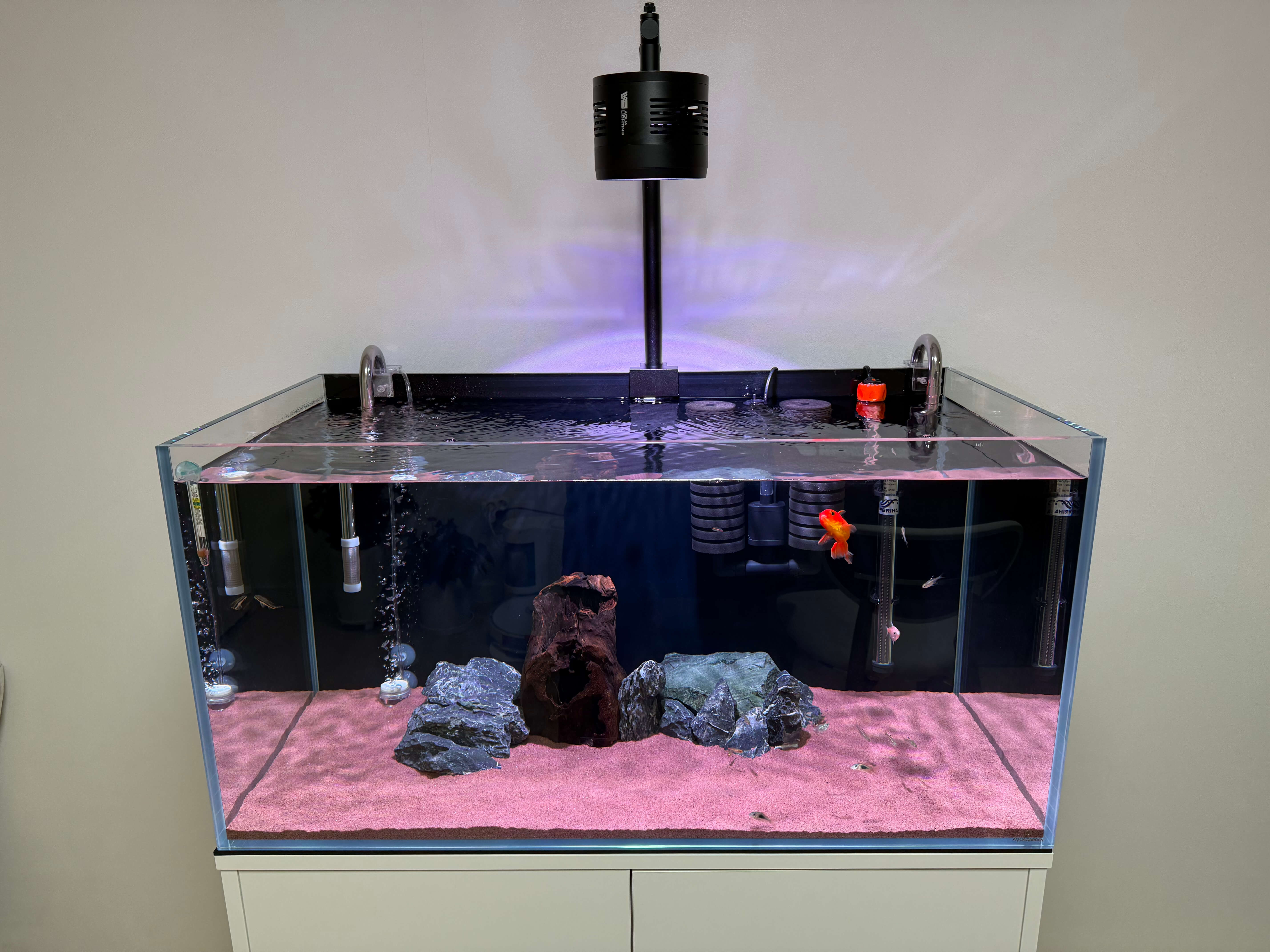 어항 조명 내돈내산