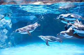 수험생 수험표 혜택 할인 이벤트 총정리