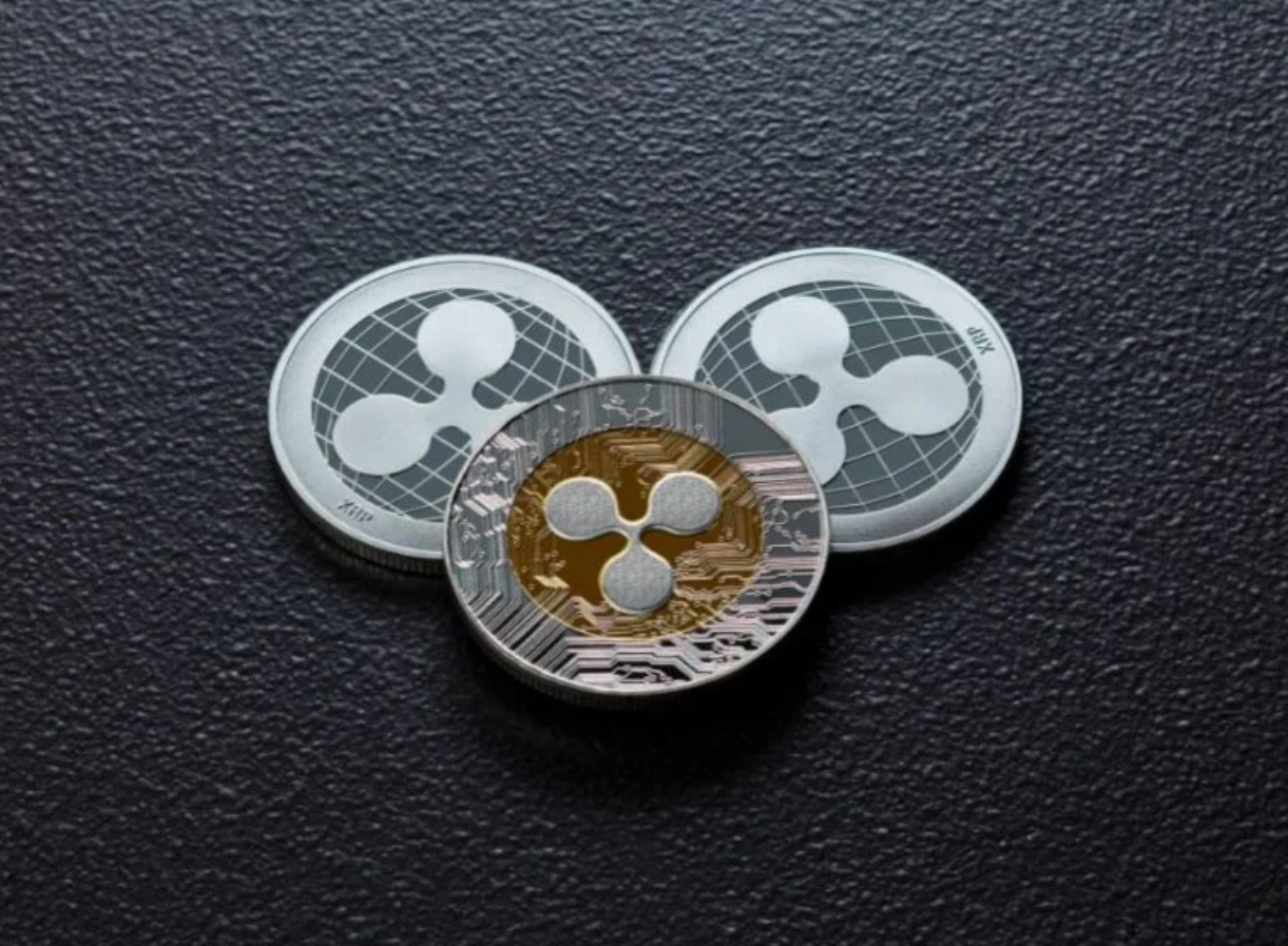 리플에 대한 설명 이미지