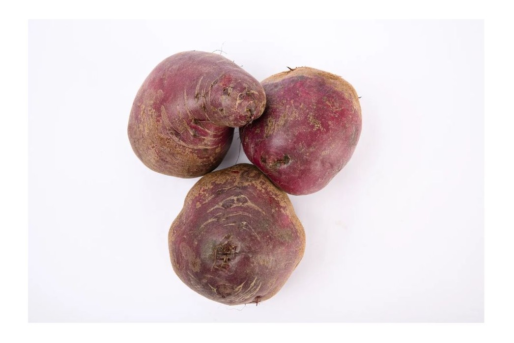 비트 효능의 이해를 위한 비트 이미지