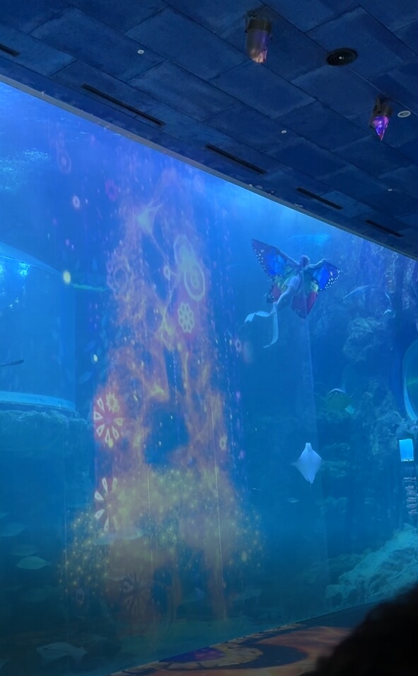 여수아쿠아플라넷-인어공주공연정보