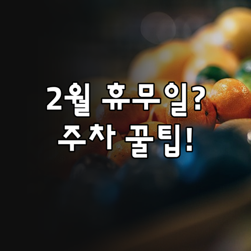 트레이더스 동탄점 운영 시간 2월 휴..