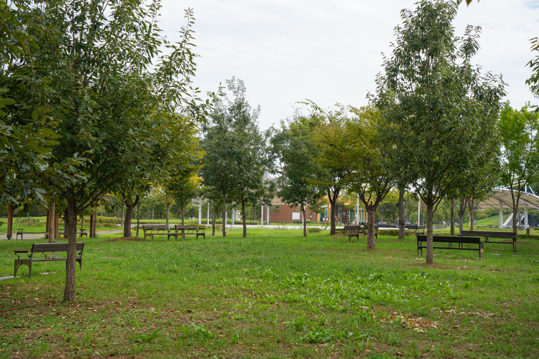 고색 향토 문화전시관 놀이터