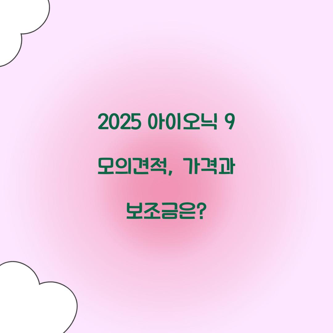 2025 아이오닉 9 모의견적