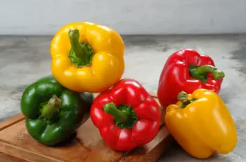 파프리카 효능 및 영양성분&amp;#44; 부작용