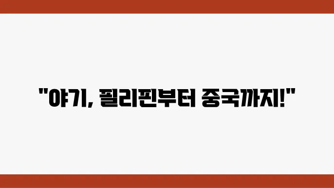 태풍 '야기(Yagi)'의 패턴 추적하기: 필리핀에서 중국까지