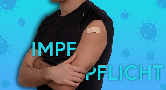 2024년 독감 무료접종 안내