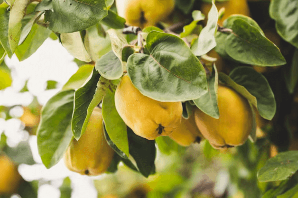 혈액순환에 좋은 음식 6가지와 생활습관 총정리