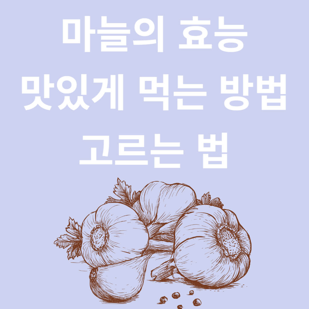 마늘의 숨겨진 효능과 맛있게 먹는 법, 고르는 방법