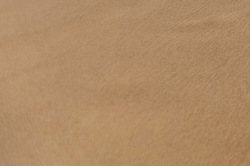 Tile 13