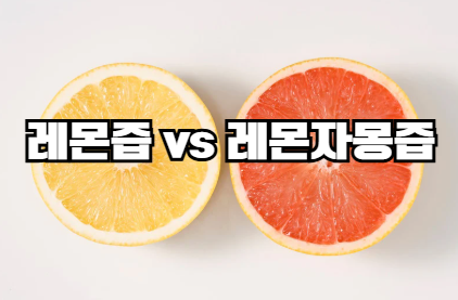레몬과 자몽의 단면