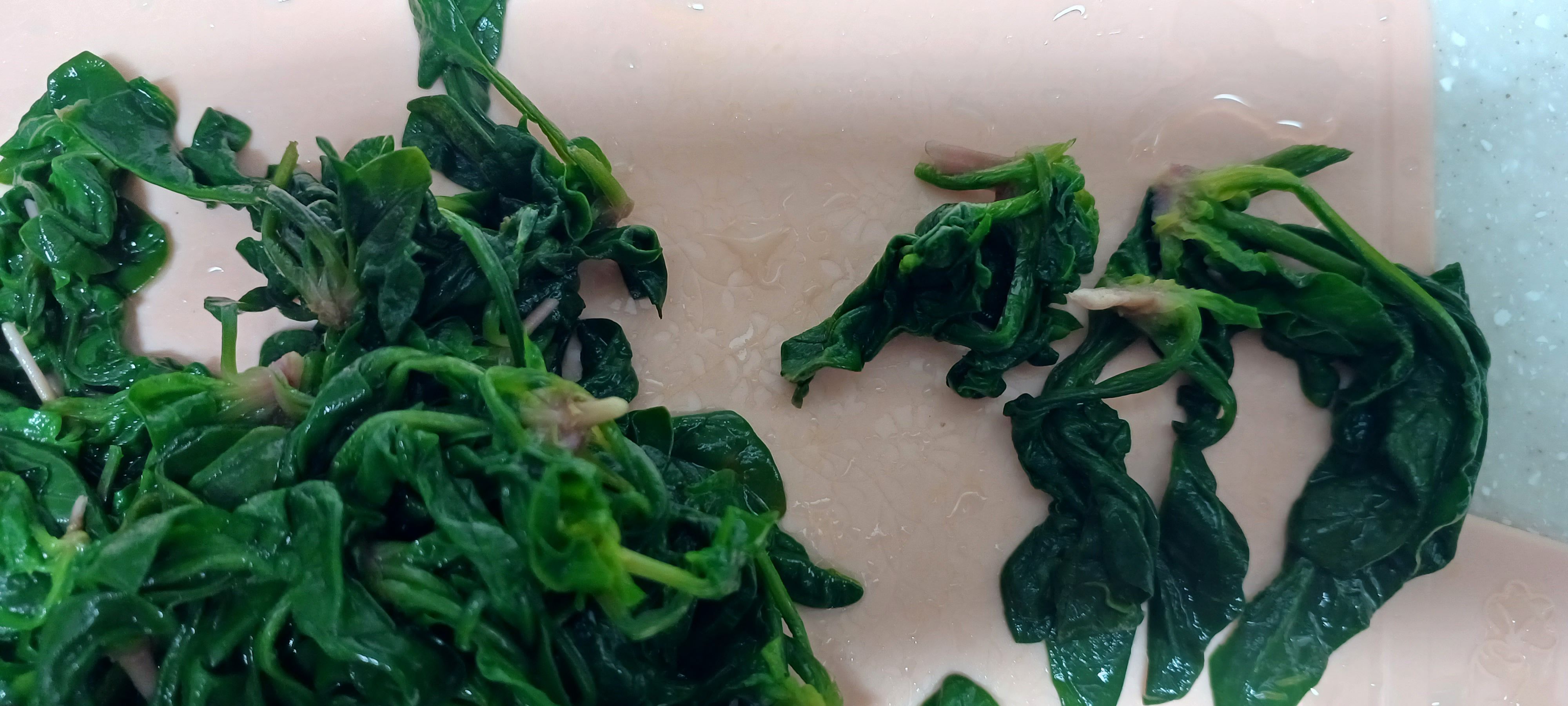 데친 시금치 손질하기