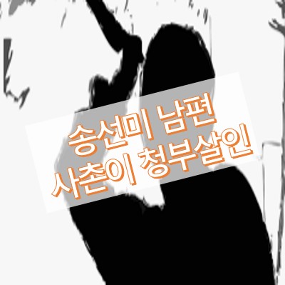 송선미 남편