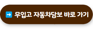 자동차담보대출 무입고