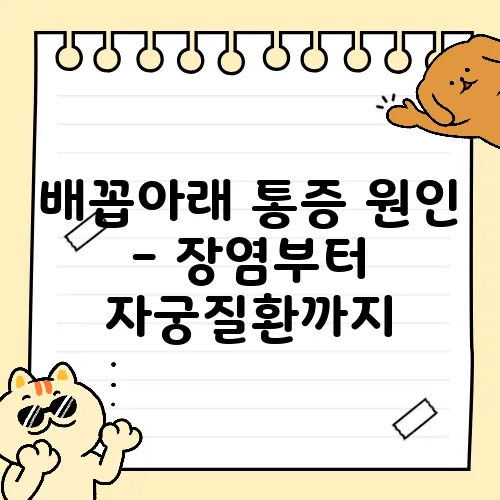 배꼽아래 통증 원인 - 장염부터 자궁질환까지