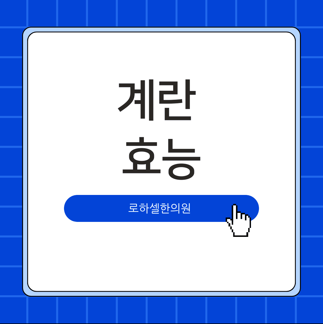 계란 효능 단백질 함량이 높아서 소화가 천천히