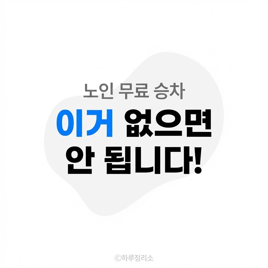 60세 이상 노인 교통카드 발급 방법, 무료 승차 받으려면 필수