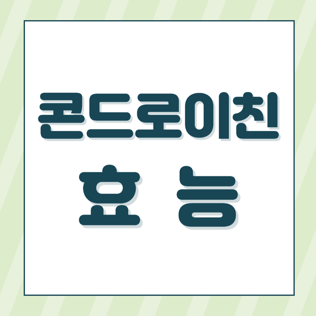 콘드로이친 효능