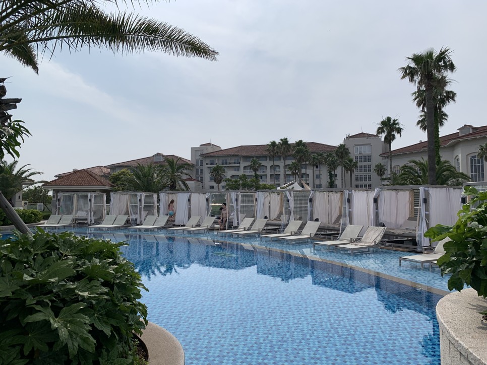 제주신라호텔할인