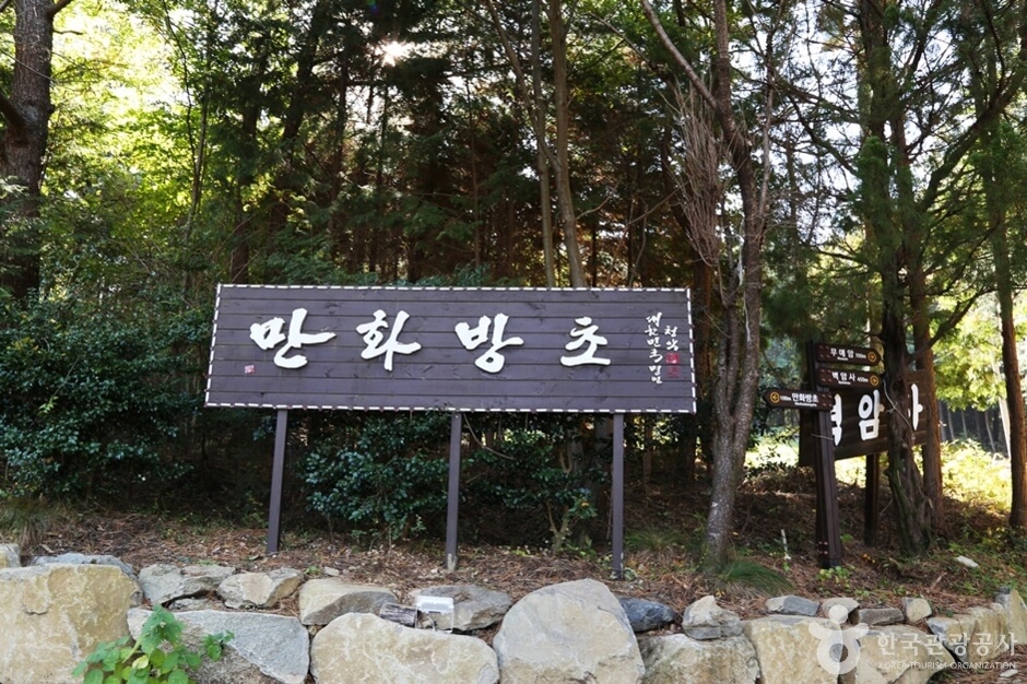 고성 만화방초 수국축제 2026