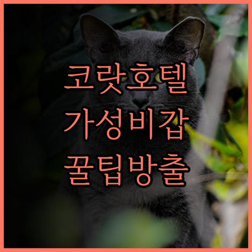 SHIN Hotel V-ONE Kor