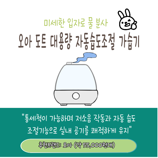 건조한계절 천연가습기 추천