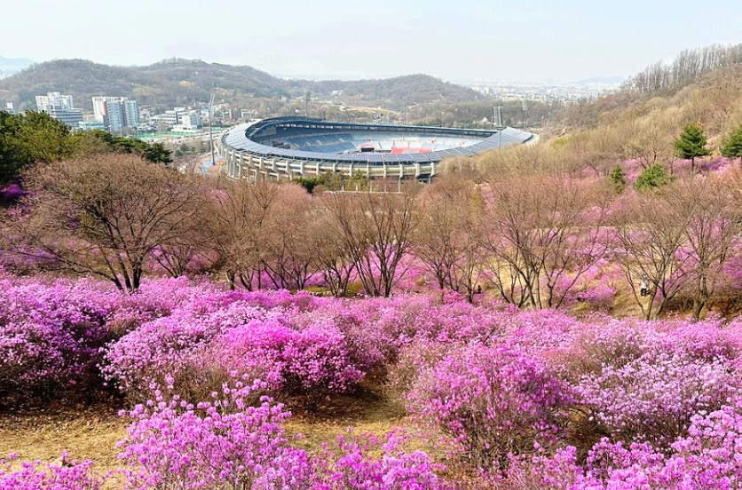 진달래꽃 여행1