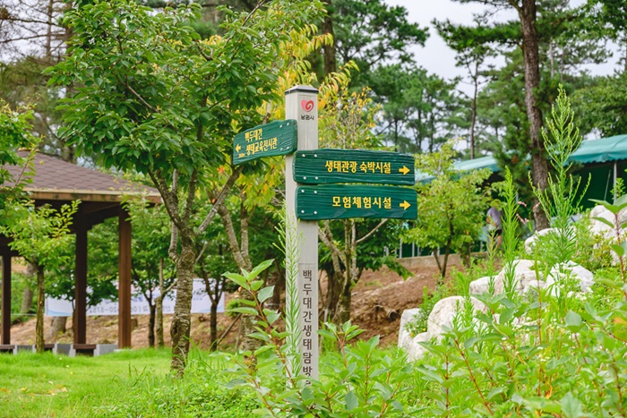 전라북도 남원 백두대간 국민여가캠핑장