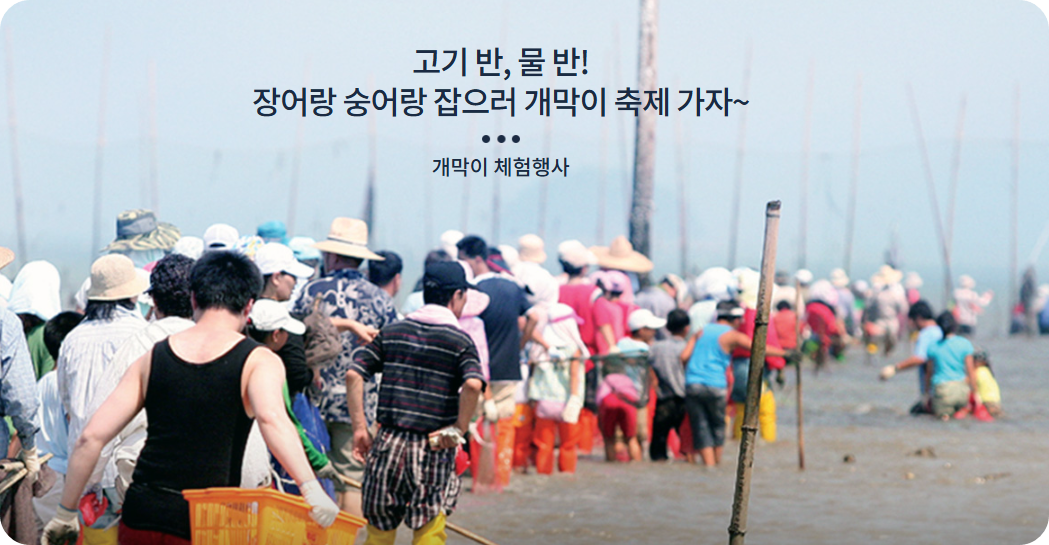 장흥개막이축제사진