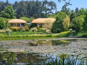 천리포 수목원 목련축제 입장료 여행코스_24