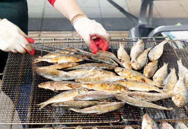 가을 별미 전어, 어획량 감소와 가격 급등 배경
