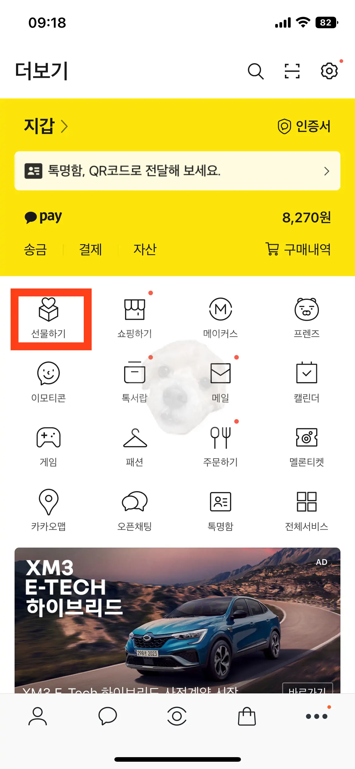 카카오톡 더보기 사진