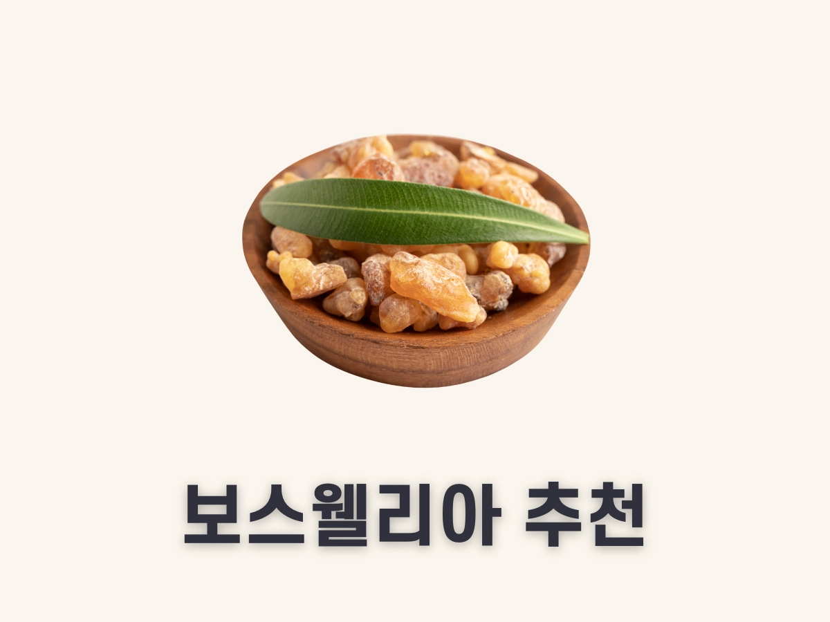 보스웰리아 추천