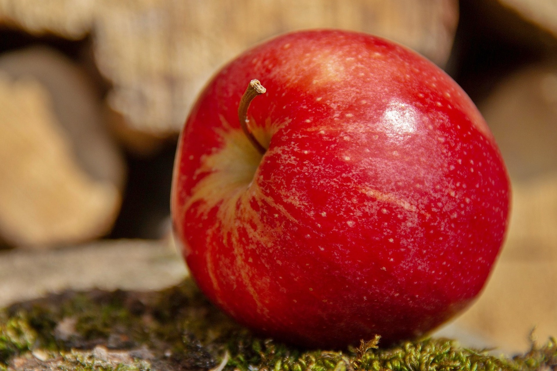 췌장 베타세포를 살리는 마지막 골든타임, 지금 바꿔야 할 생활 루틴 5가지