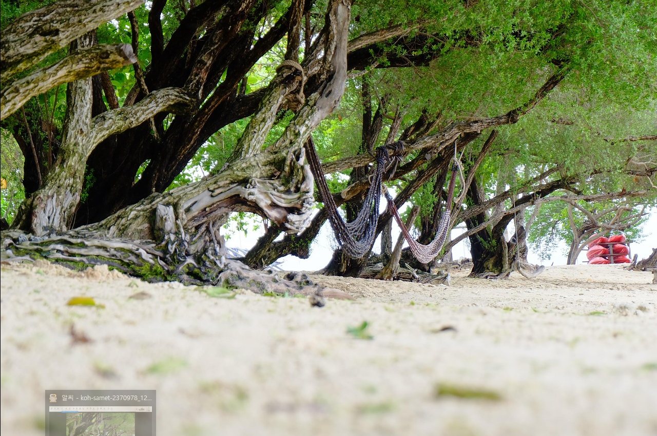코사멧 해변가 관련 사진